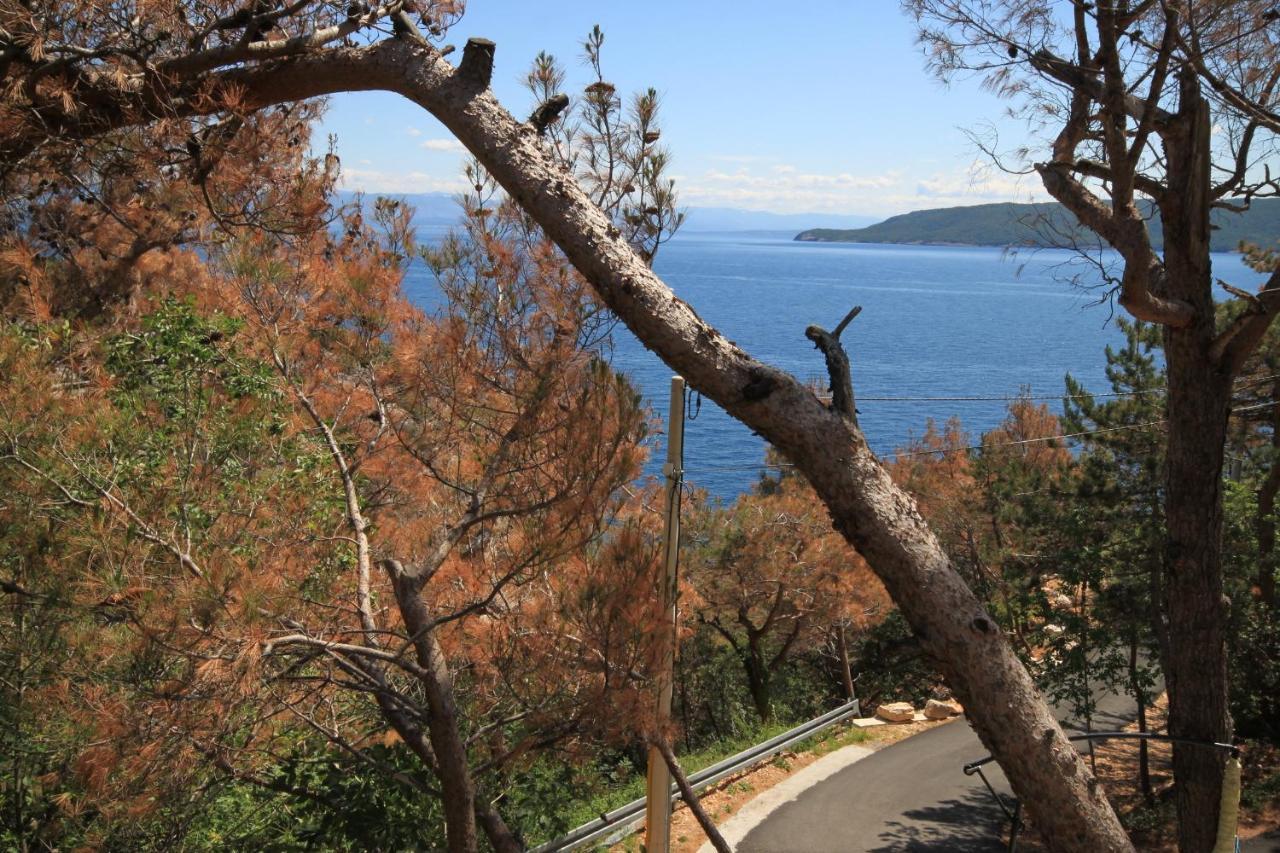 Apartment Apartments By The Sea Brsec, Opatija - 2359 *